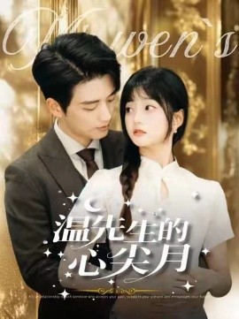 温先生的心尖月短剧海报