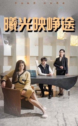 曦光映峥途 错把瓦砾当明珠海报