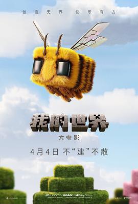 我的世界大电影海报