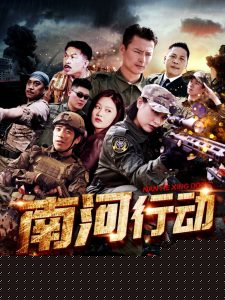 南河行动海报