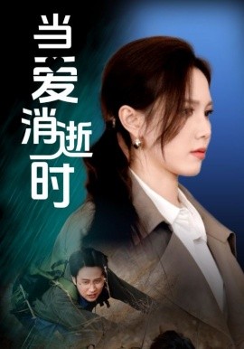 当爱消逝时海报