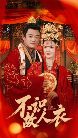不识故人衣海报