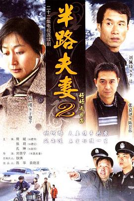 好好过日子短剧海报