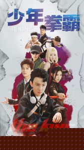 少年拳霸海报