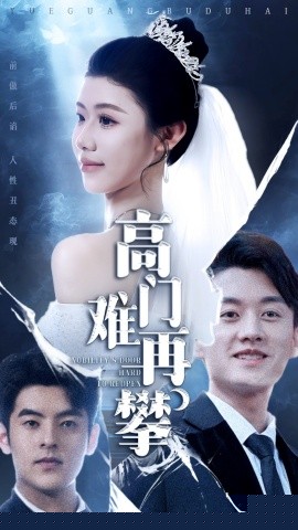 高门难再攀海报
