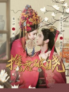 携君破晓海报