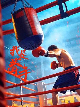 我是拳手2025海报