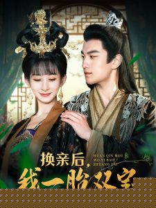 换亲后，我一胎双宝海报
