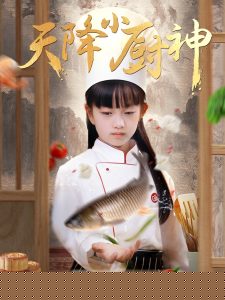 天降小厨神海报