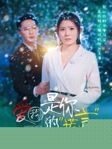 爱我是你的谎言海报