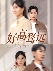 好高骛远海报
