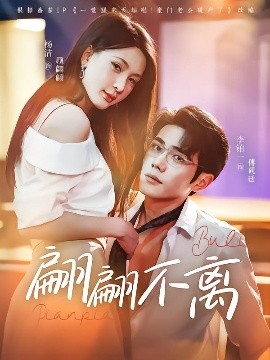 翩翩不离海报
