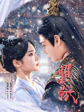昭雪赋海报
