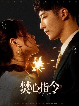 焚心指令海报