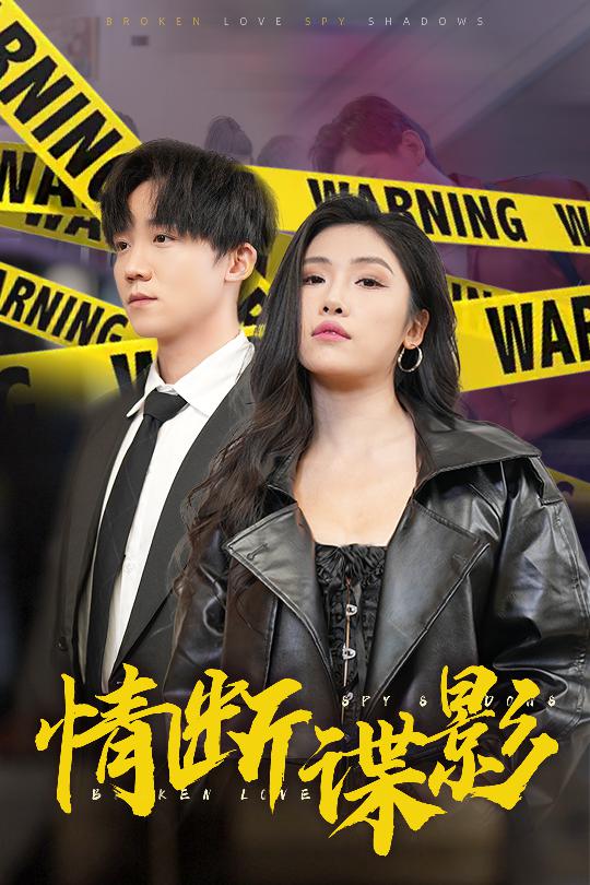 我的特工老婆海报