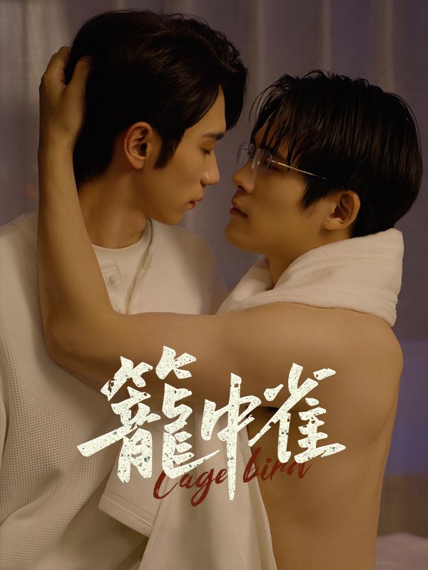 笼中雀海报