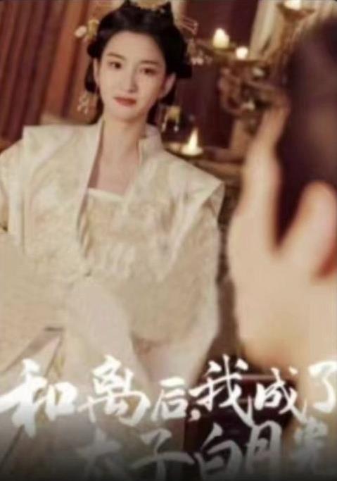 和离后，我成了太子白月光海报