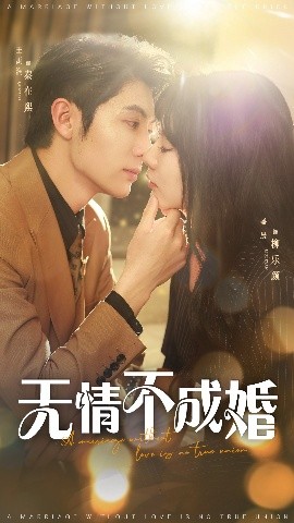 无情不成婚海报