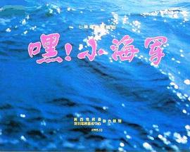 嘿！小海军海报