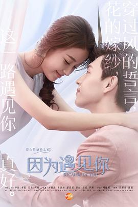 因为遇见你未删减版海报