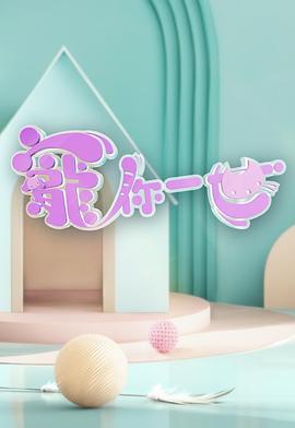 宠你一世海报