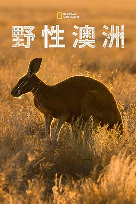 野性澳大利亚海报