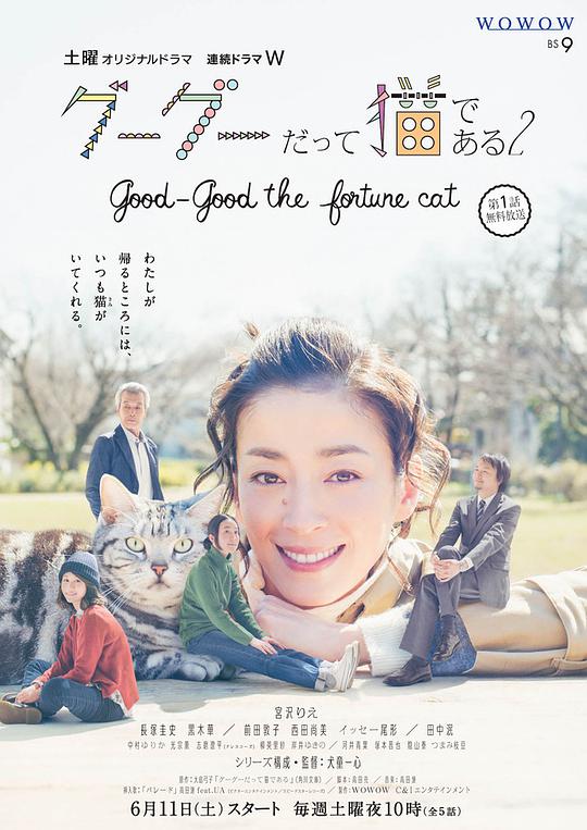 咕咕是一只猫2海报