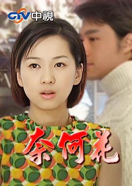 奈何花海报