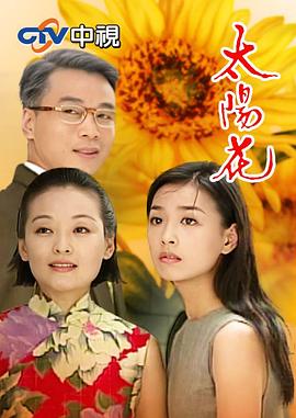 太阳花1998海报