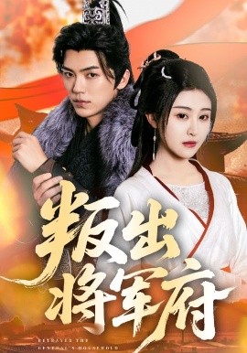 叛出将军府海报