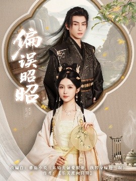 偏误昭昭海报