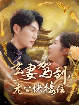 玄妻驾到，老公快接住海报