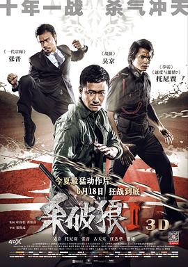杀破狼2()海报