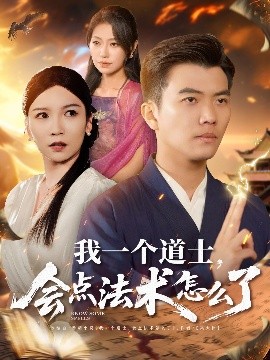 我一个道士，会点法术怎么了海报