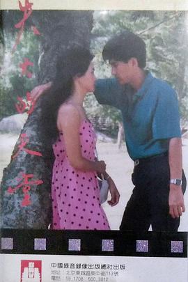 失火的天堂1985海报