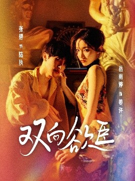 双向欲臣海报
