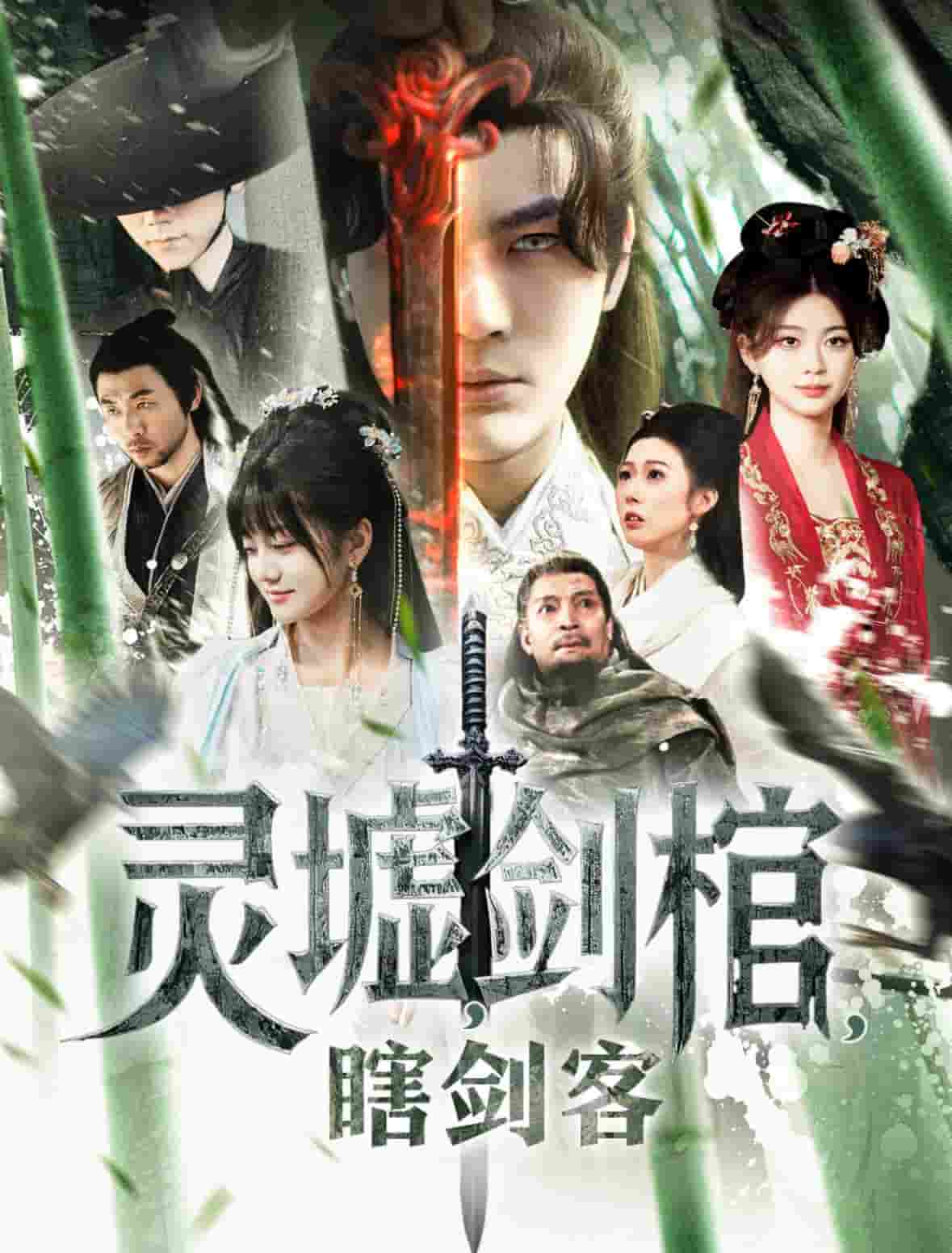 悲情侠客，无情剑海报