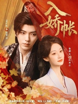 入娇账海报