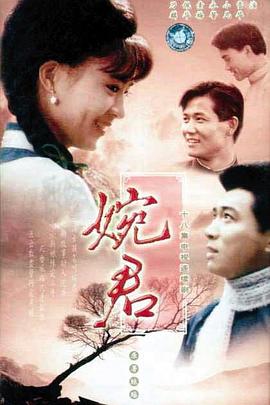 婉君海报