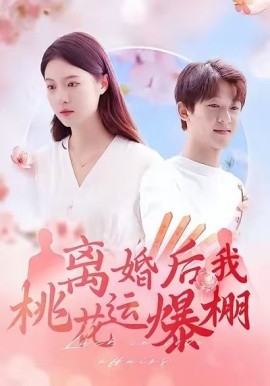 离婚后我桃花运爆棚海报