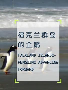 企鹅之岛：福克兰海报