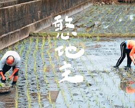 憨地主海报