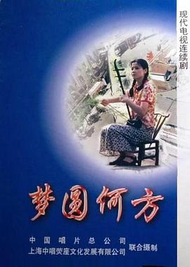 梦圆何方海报